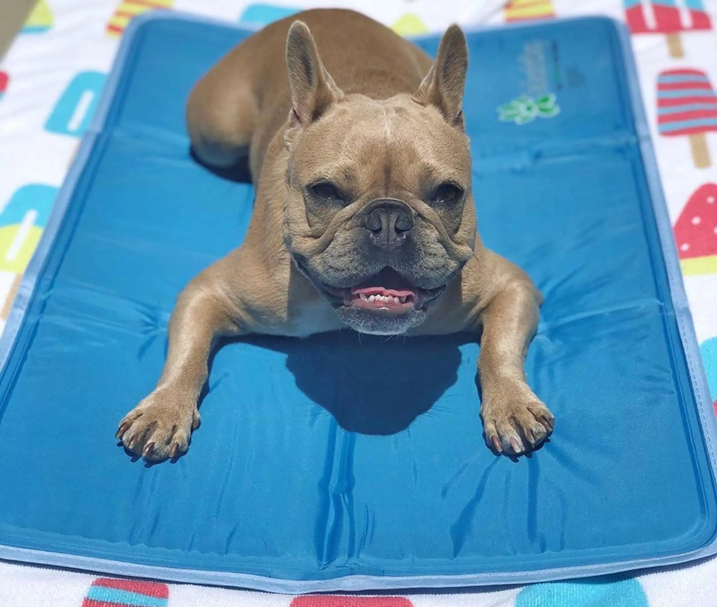 Cool Pet Pad – No-Electricity Cooling Dog Bed