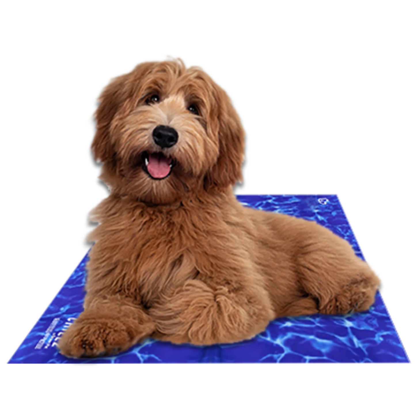 Chillz Cooling Gel Mat for Pets – XL
