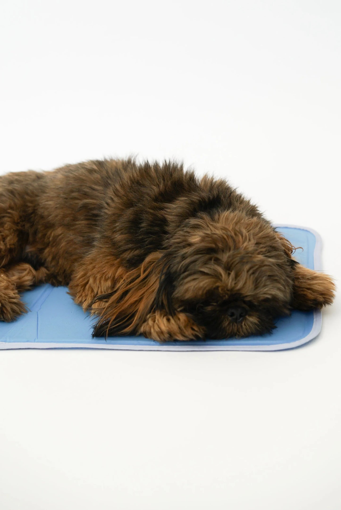 Cool Pet Pad – No-Electricity Cooling Dog Bed