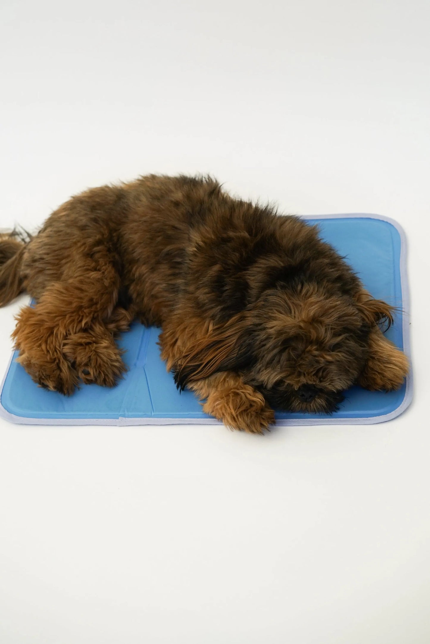 Cool Pet Pad – No-Electricity Cooling Dog Bed