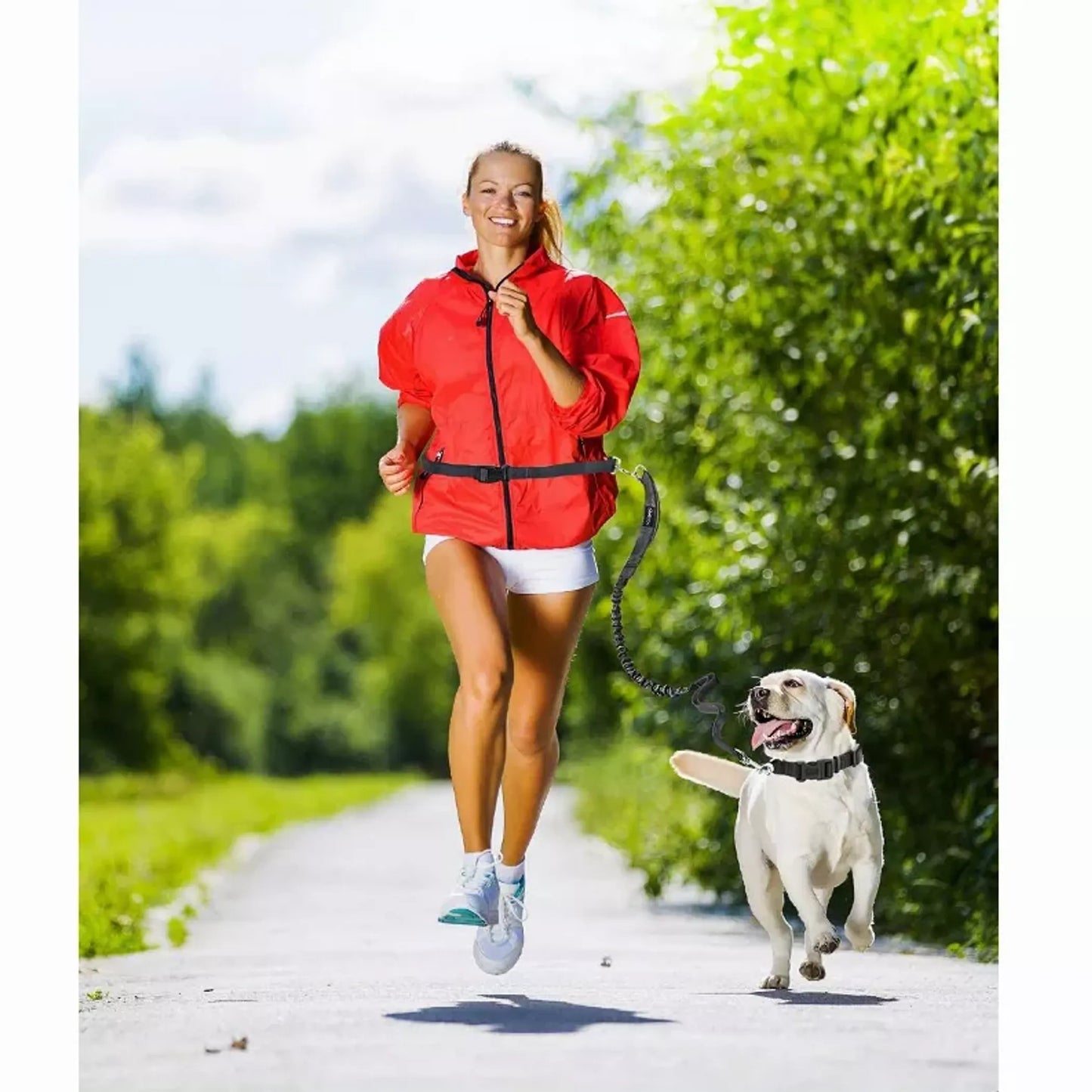 JESPET Hands-Free Bungee Dog Leash – Up to 150 lbs