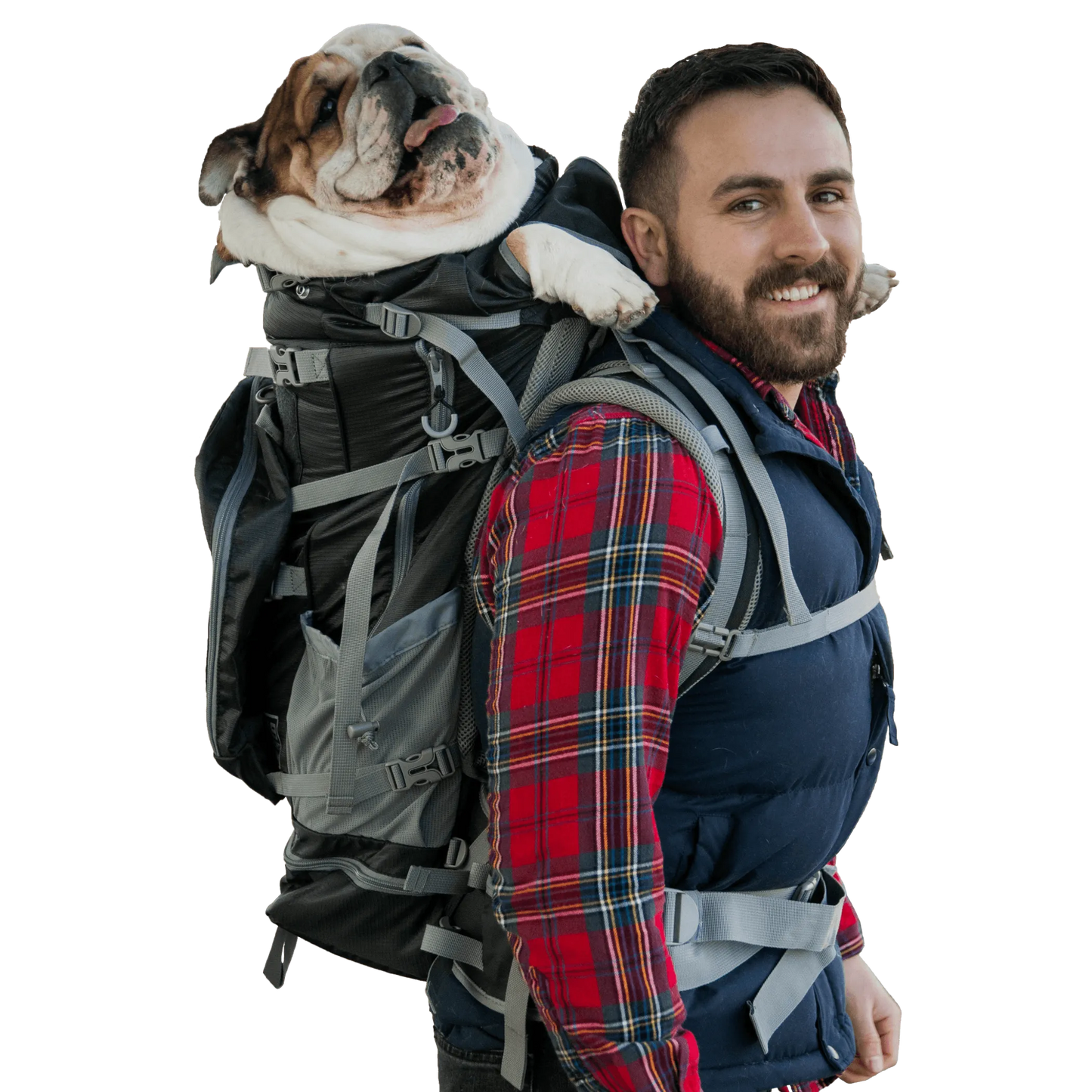 Kolossus Big Dog Carrier & Backpacking Pack