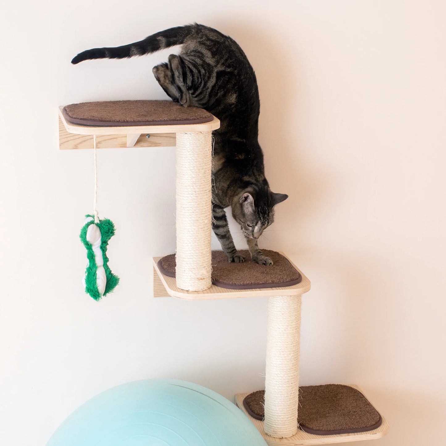 Armarkat W1907C Wall-Mounted Cat Steps