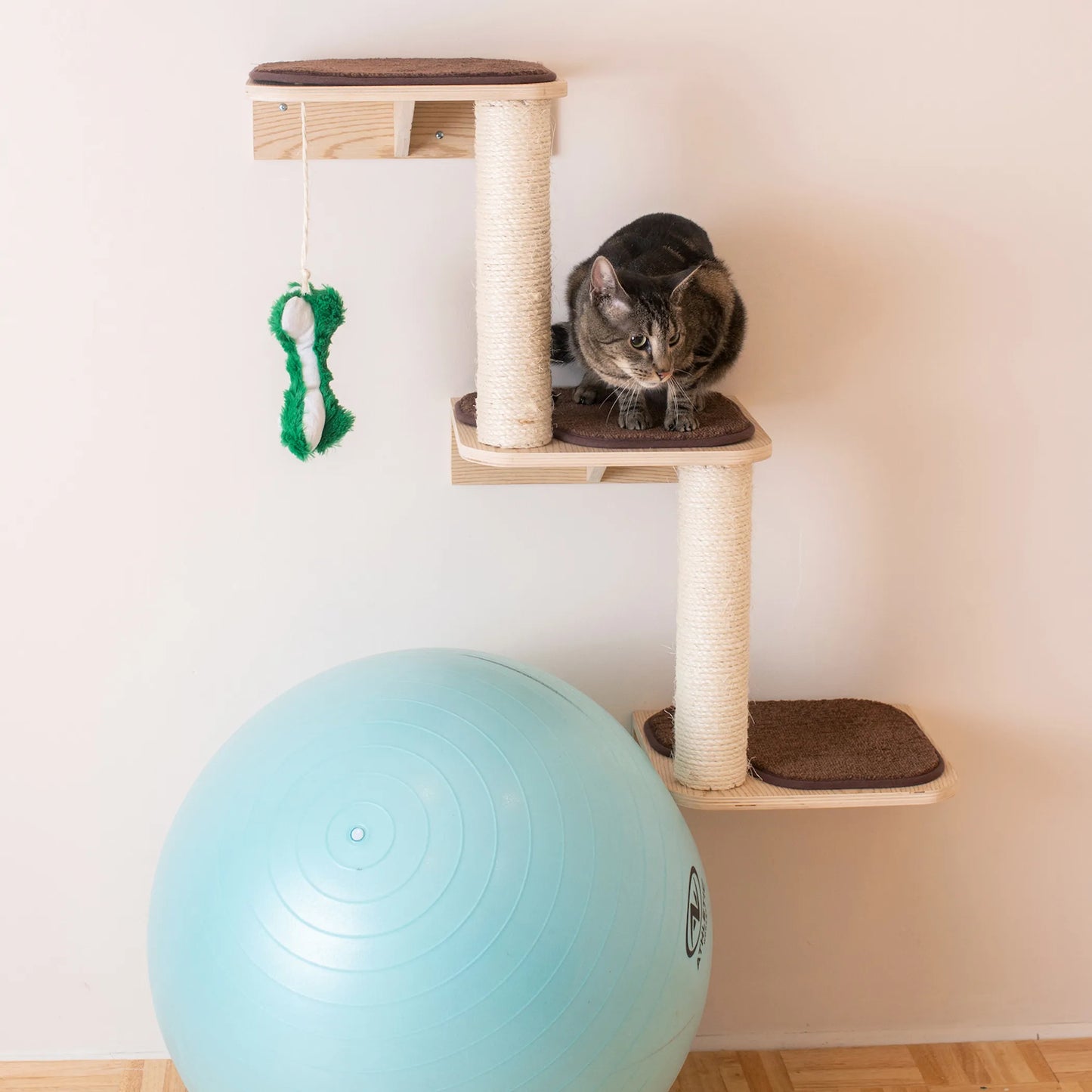 Armarkat W1907C Wall-Mounted Cat Steps