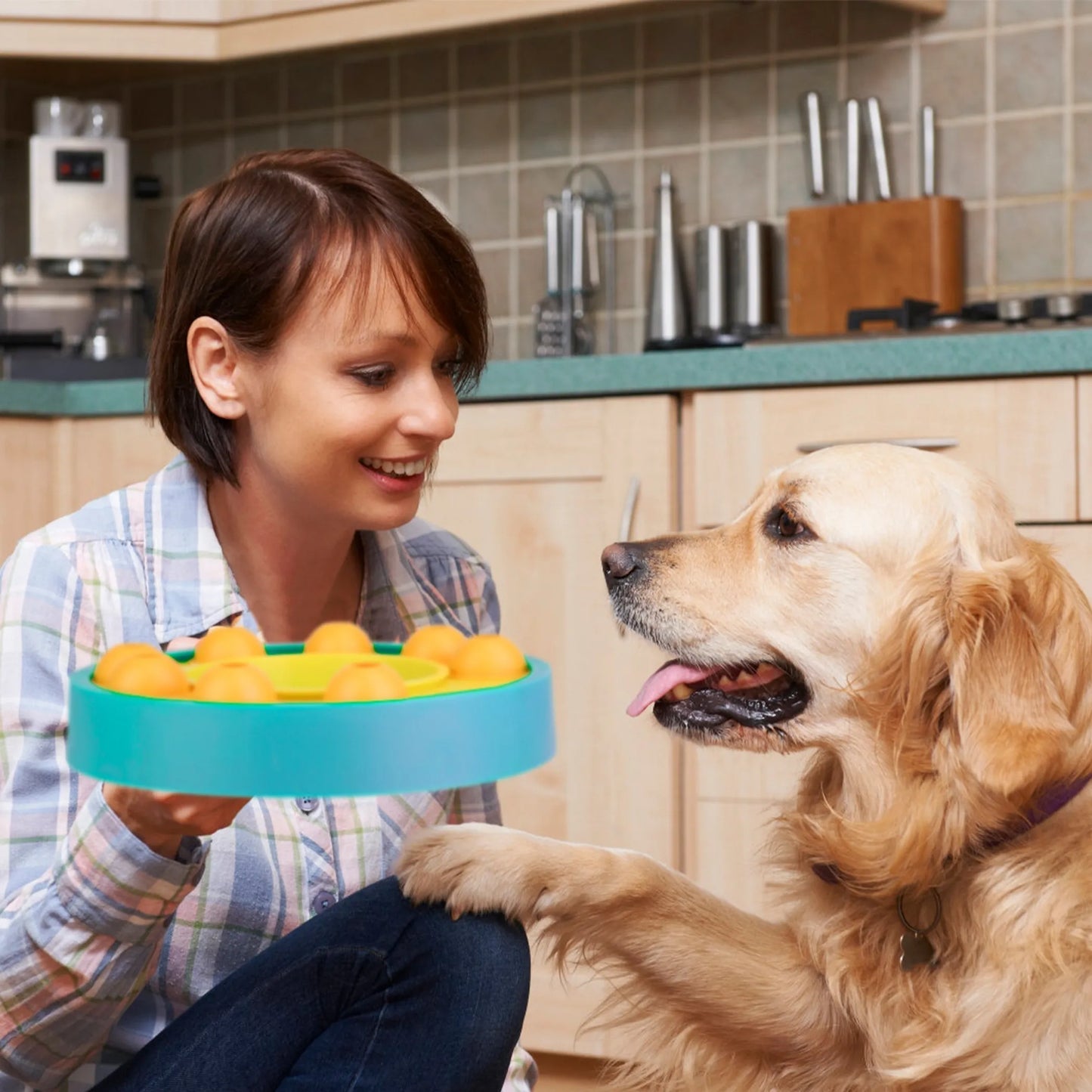 Dog Puzzle Slow Feeder Bowl