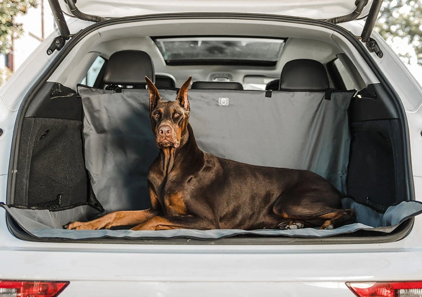 GF Pet Cargo Area Cover for Cars