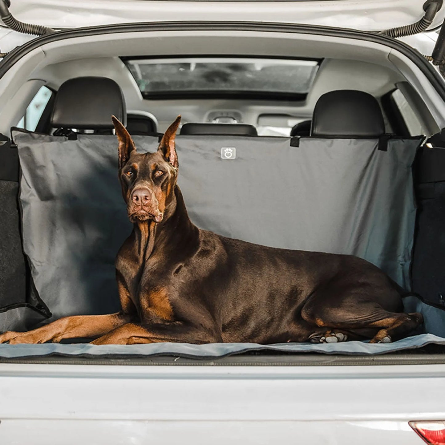 GF Pet Cargo Area Cover for Cars