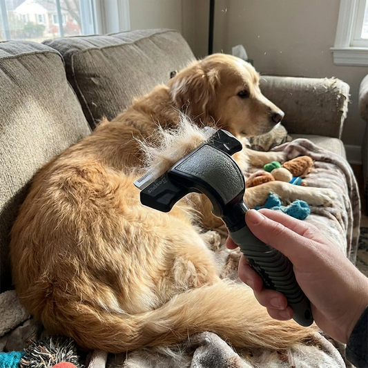 Deshedding Brush lifestyle