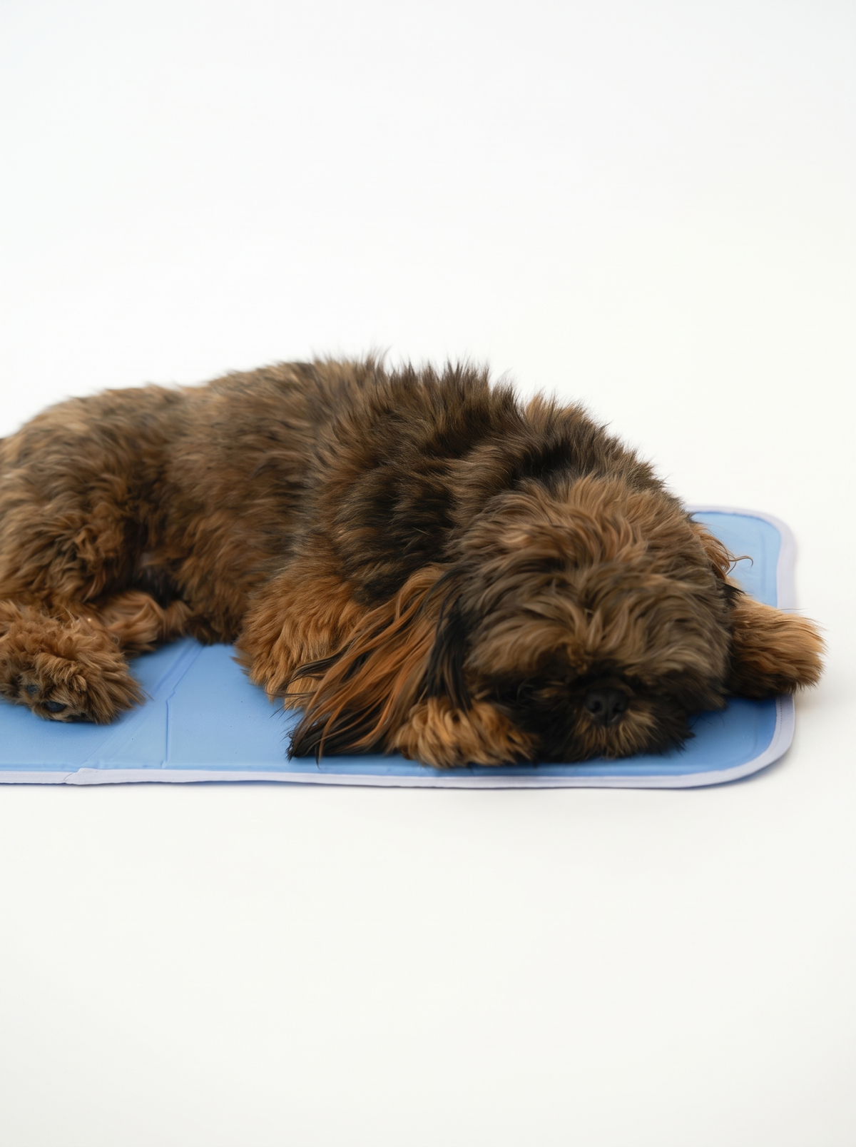 Cool Pet Pad – No-Electricity Cooling Dog Bed product photo 3