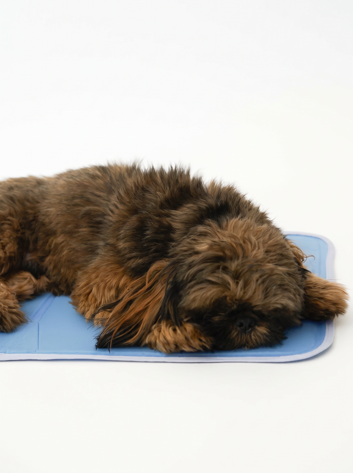 Cool Pet Pad – No-Electricity Cooling Dog Bed product photo 1