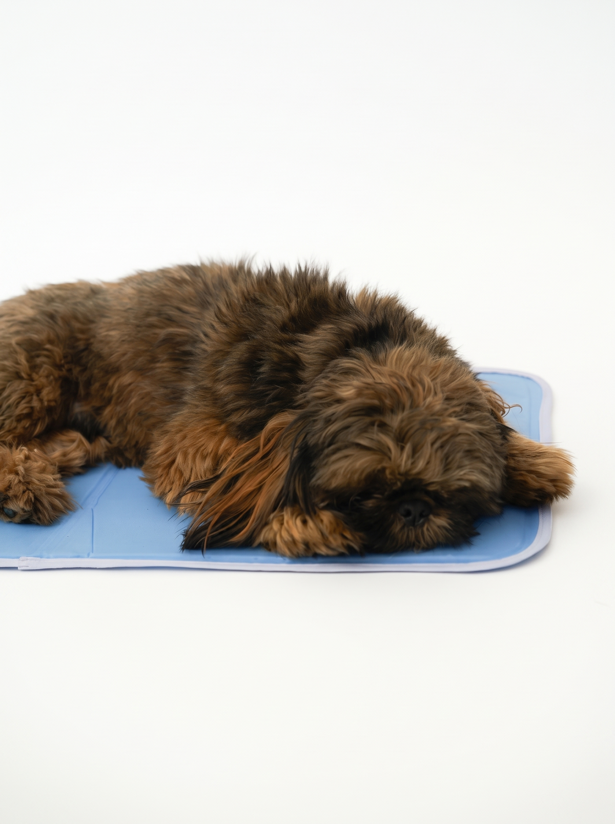 Cool Pet Pad – No-Electricity Cooling Dog Bed product photo 2