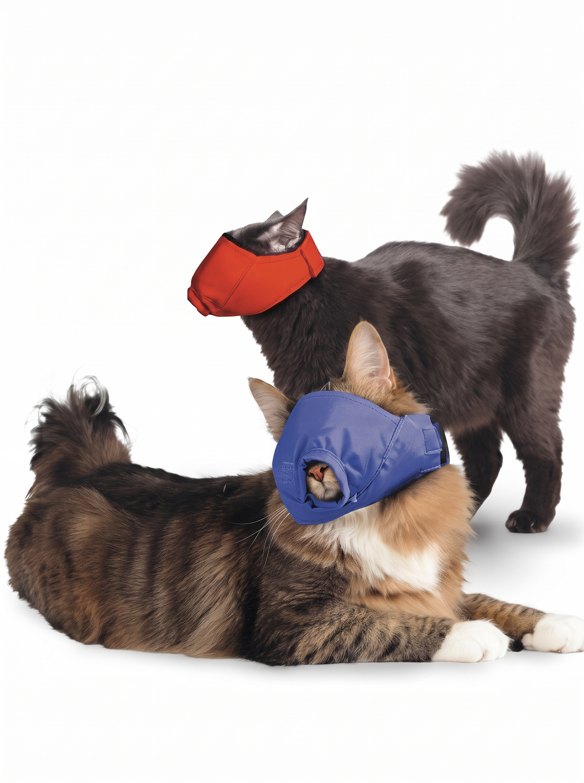 Quick Muzzle for Cats Set product photo 2