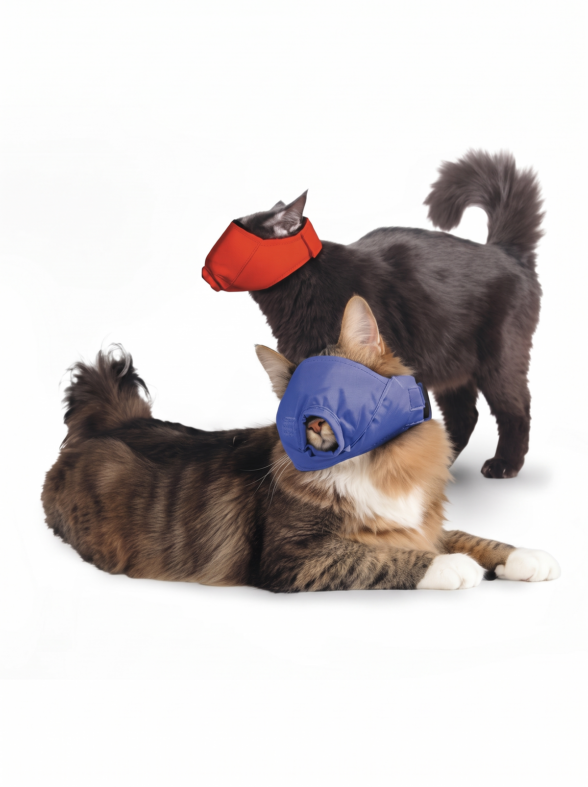 Quick Muzzle for Cats Set product photo 3